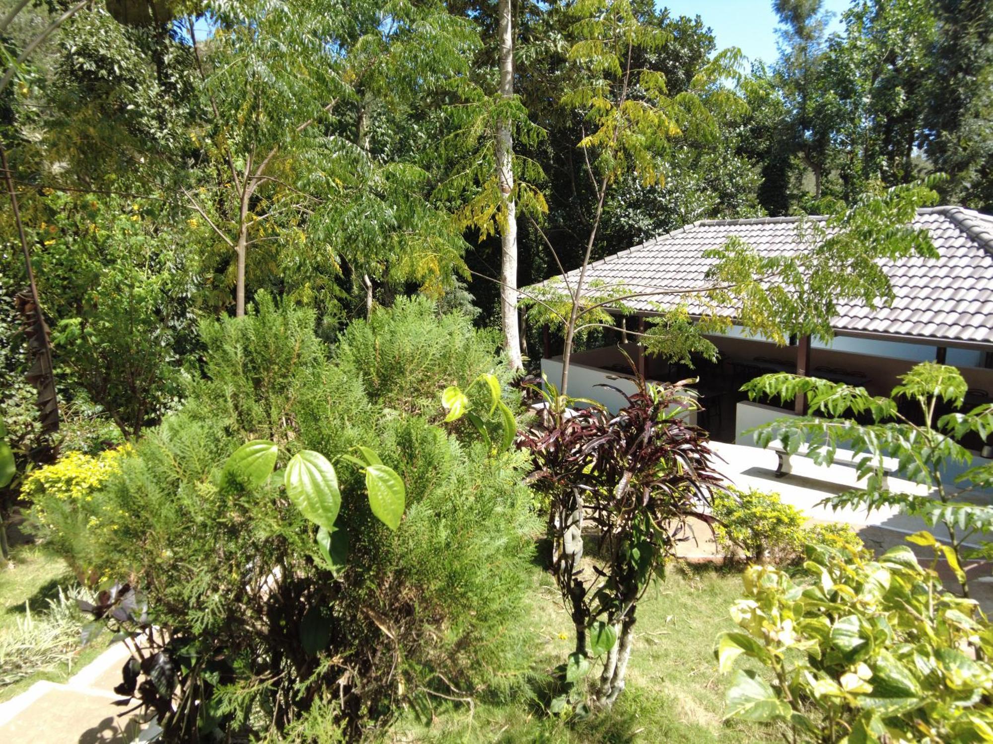 Seattle Garden Resort - Kollihills Exterior foto
